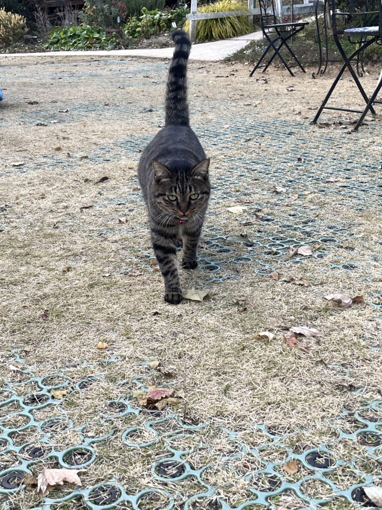 販売会ありがとうございました😊