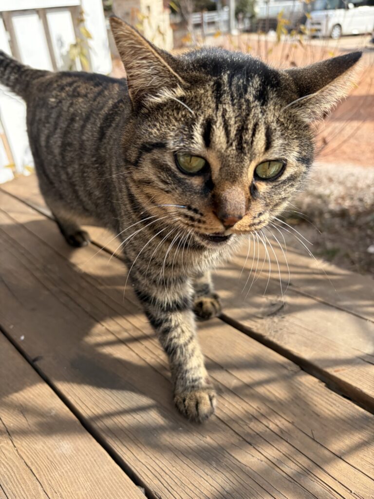 テレビ取材がありました。