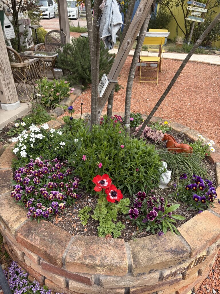 美味しいパン屋さん見つけた